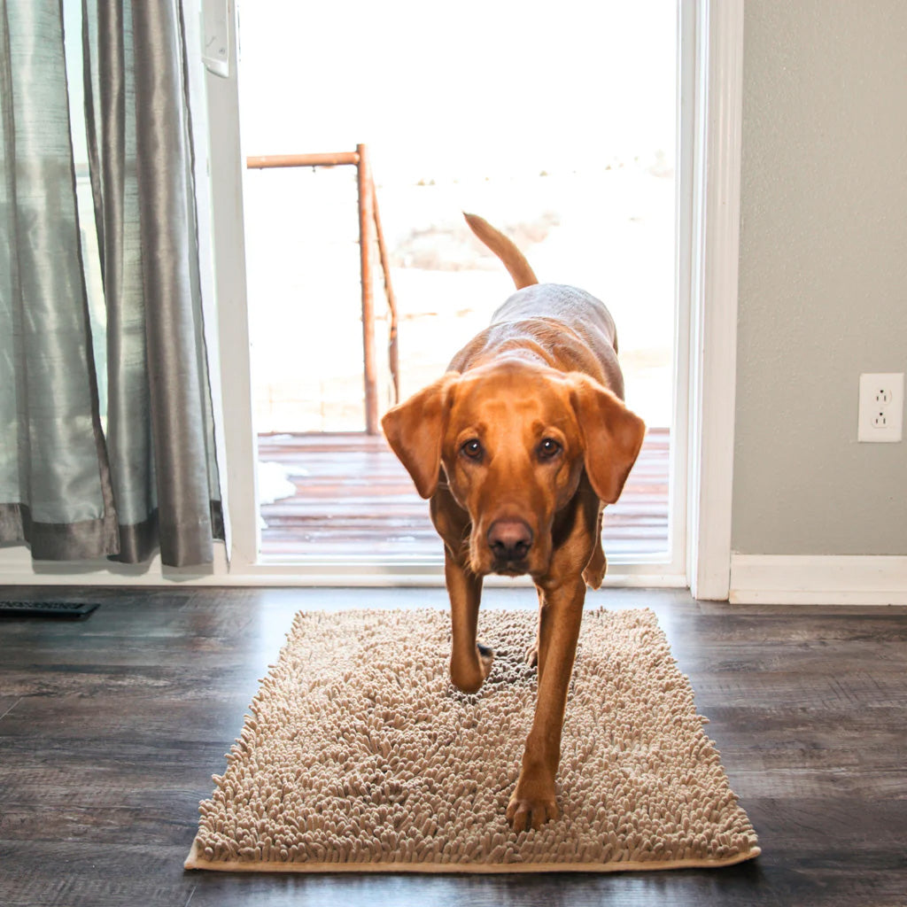 Clean Paw Mat - Honden Deur Schoonloop Mat
