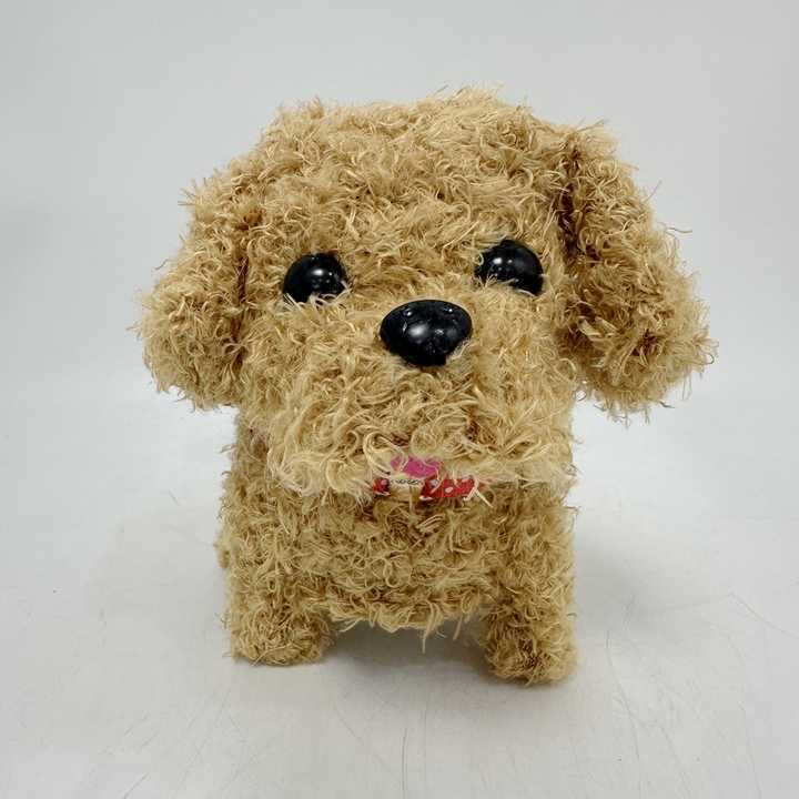 RoboPup - Realistische Robot Hond