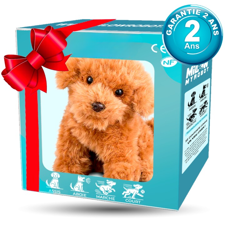 RoboPup - Realistische Robot Hond