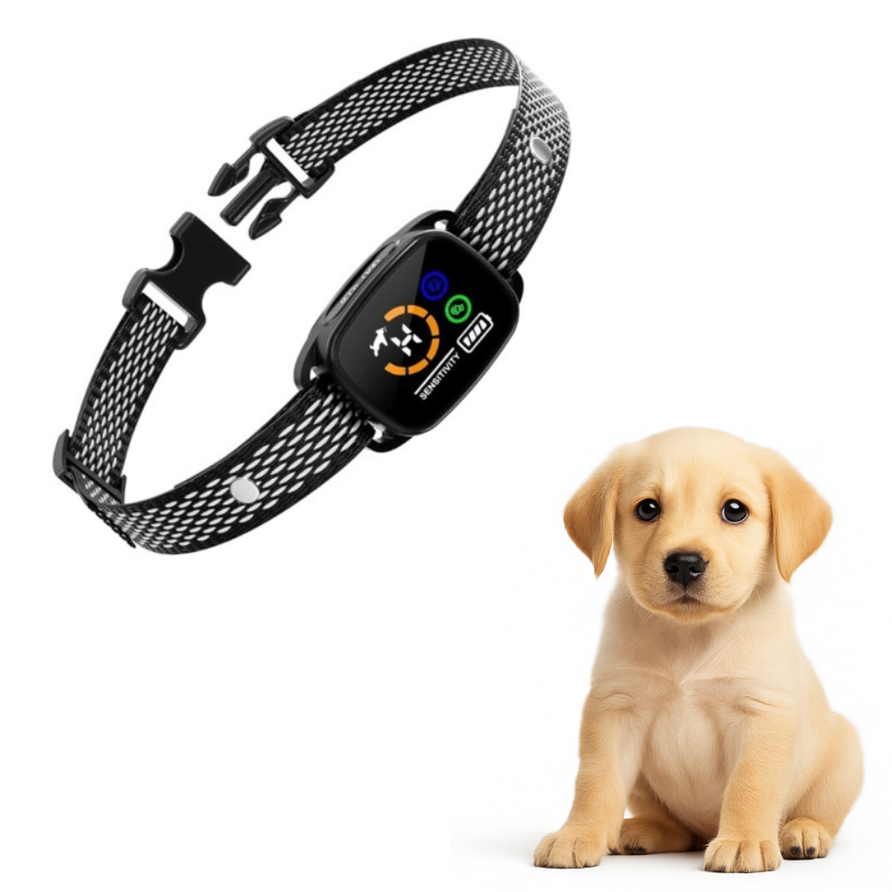 Dirk - Anti blaf halsband hond