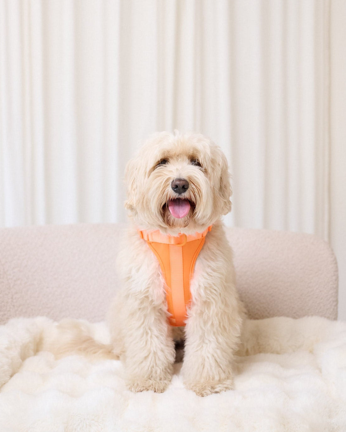Pawfect Fit Harnas Voor Honden