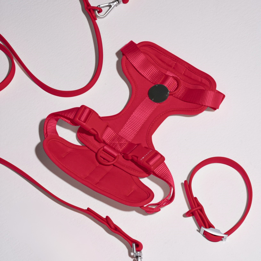 Pawfect Fit Harnas Voor Honden