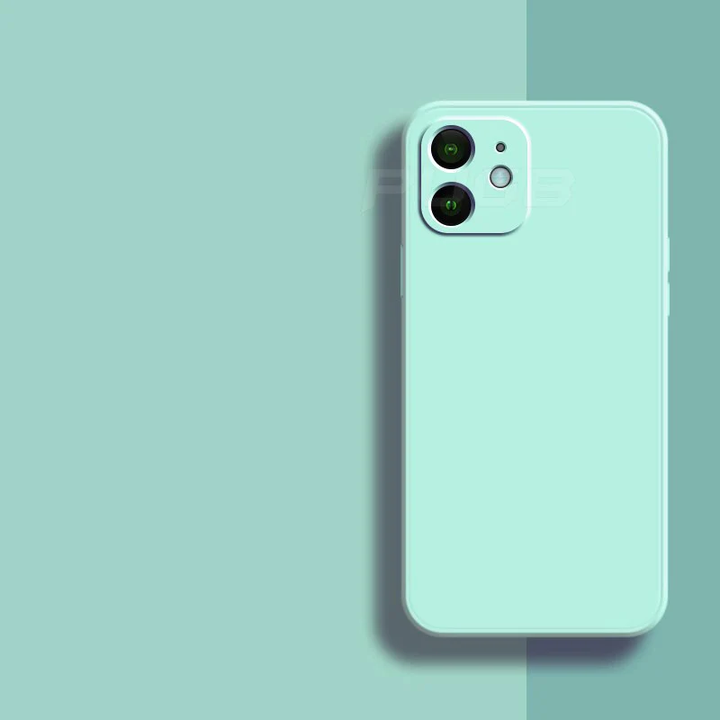 Cyaan / iPhone 13 ProMax
