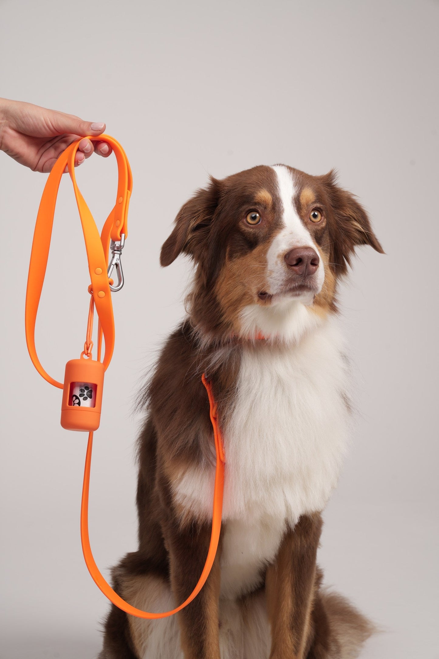 Pawfect Fit Harnas Voor Honden