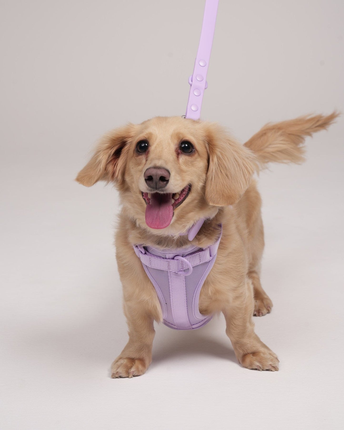 Pawfect Fit Harnas Voor Honden