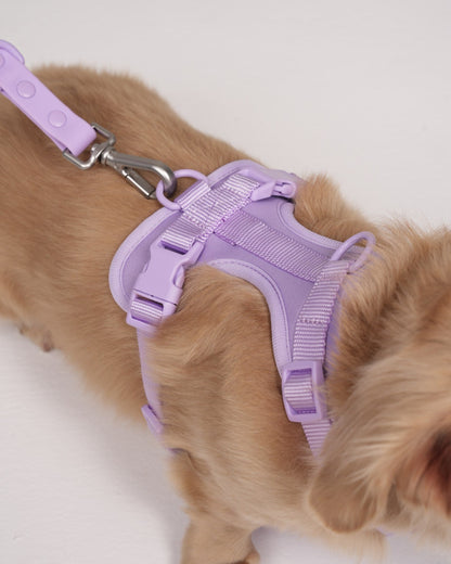 Pawfect Fit Harnas Voor Honden