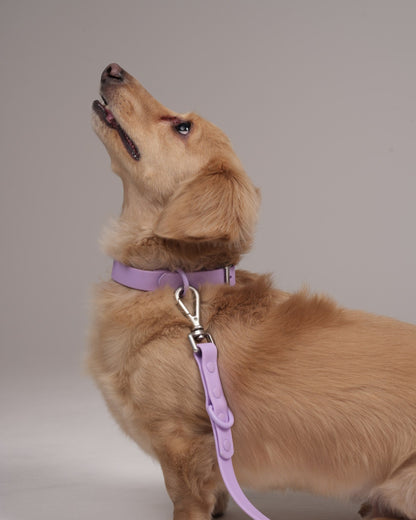 Pawfect Fit Harnas Voor Honden
