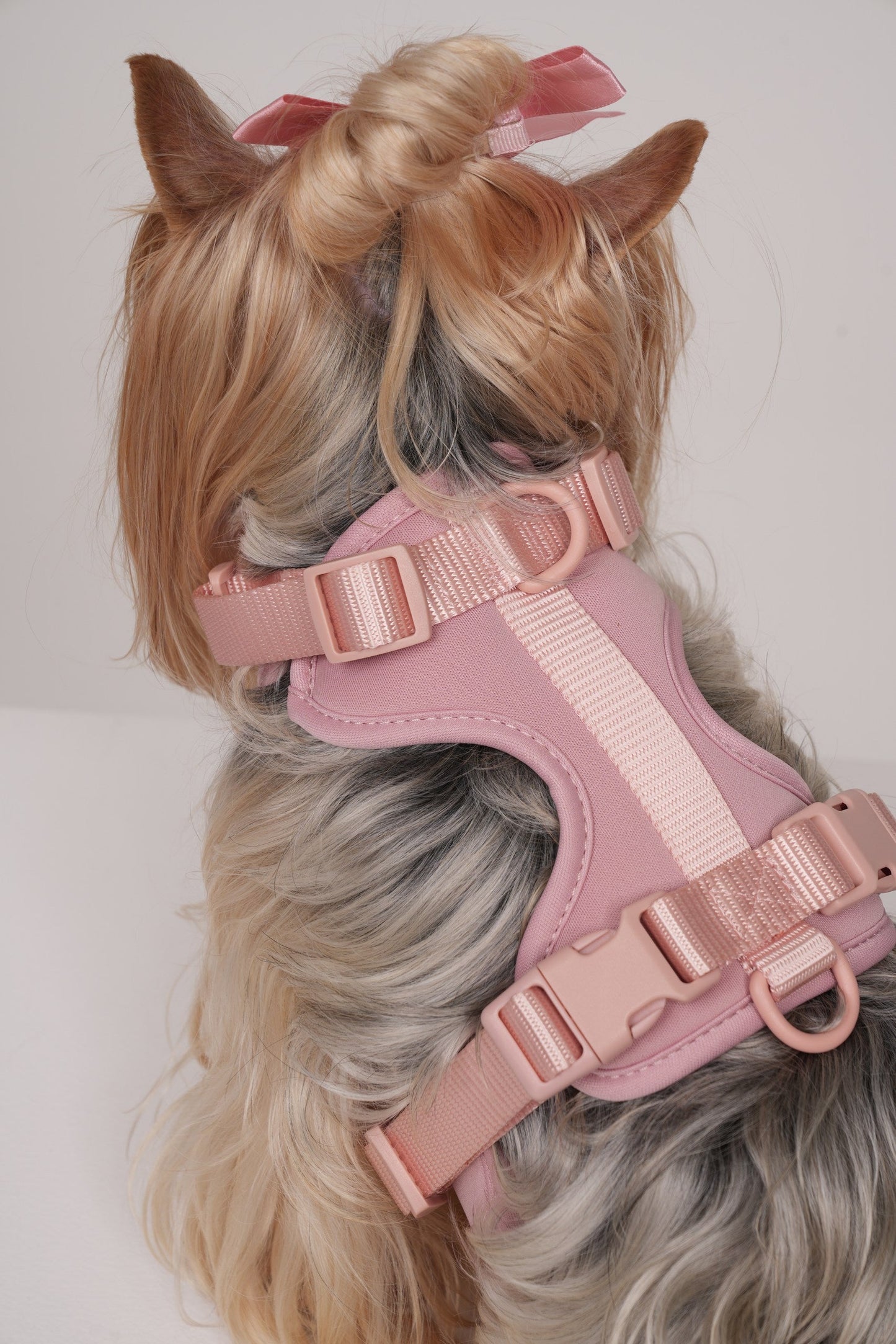 Pawfect Fit Harnas Voor Honden