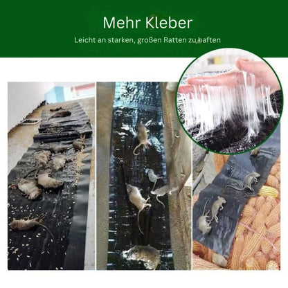 RodentLock - Grote kleverige muizenval voor ratten met sterke kleeflaag en eenvoudige verwijdering