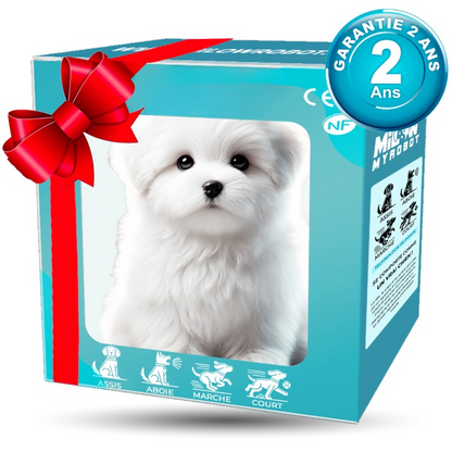 RoboPup - Realistische Robot Hond