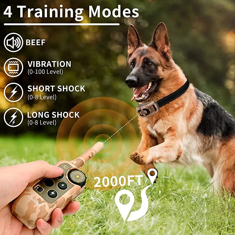 Ace - Trainingshalsband voor effectieve hondentraining op afstand