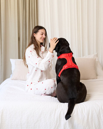 Pawfect Fit Harnas Voor Honden