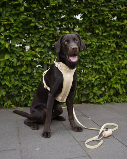 Pawfect Fit Harnas Voor Honden