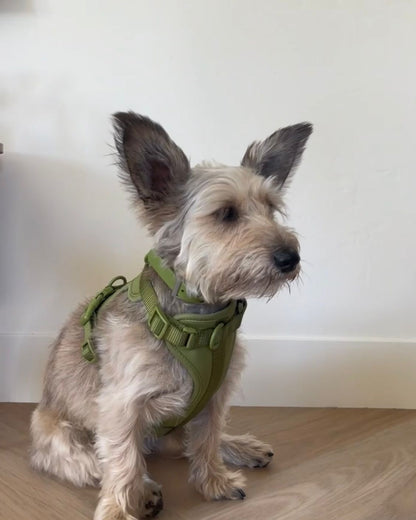 Pawfect Fit Harnas Voor Honden