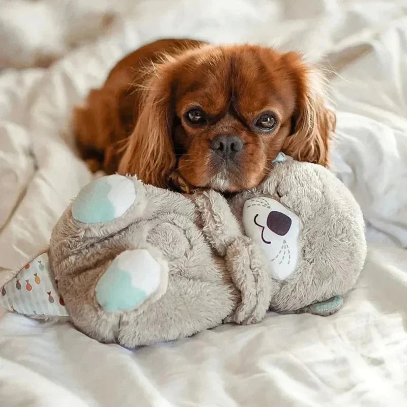 BestBuddy - Kalmerende Ademende Knuffel