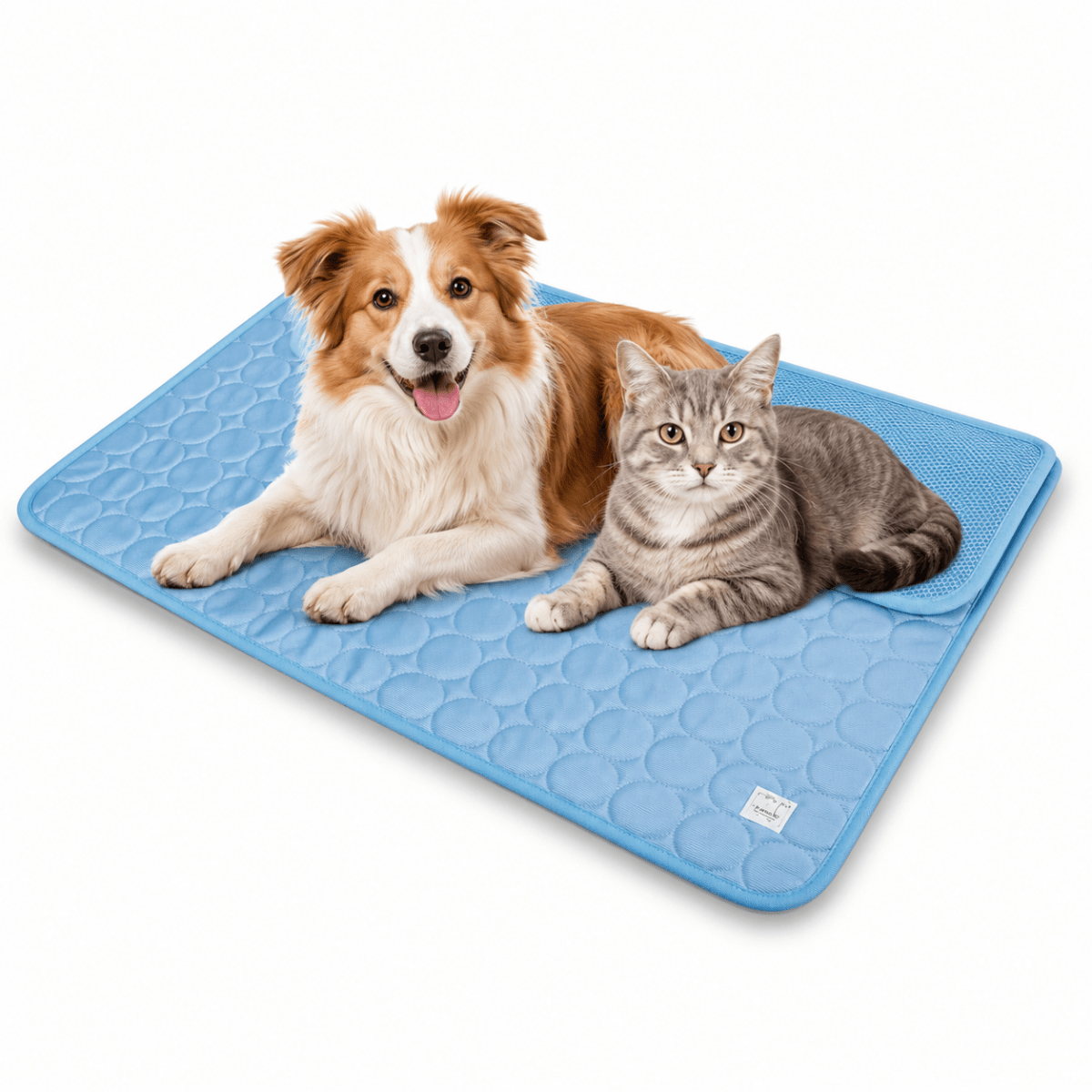 CoolPawz Verkoelende Hondenmat